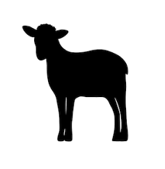 CORDERO
